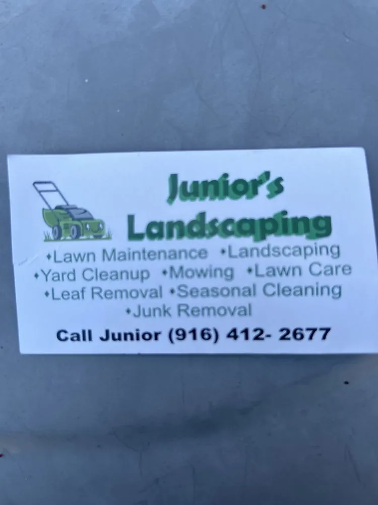 Top-rated yard maintenance in Orangevale, CA - Junior Landscaping