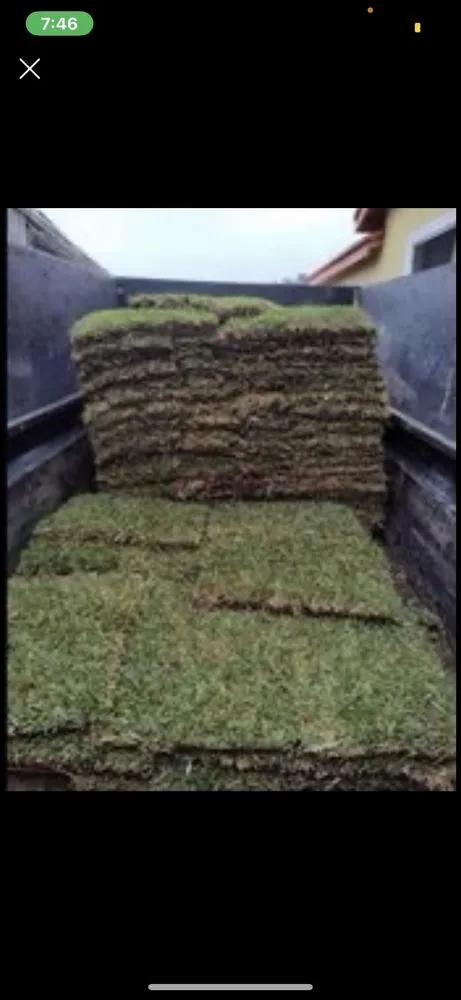 Top-rated lawn care service for beautiful yards across Belton, TX - Junior's