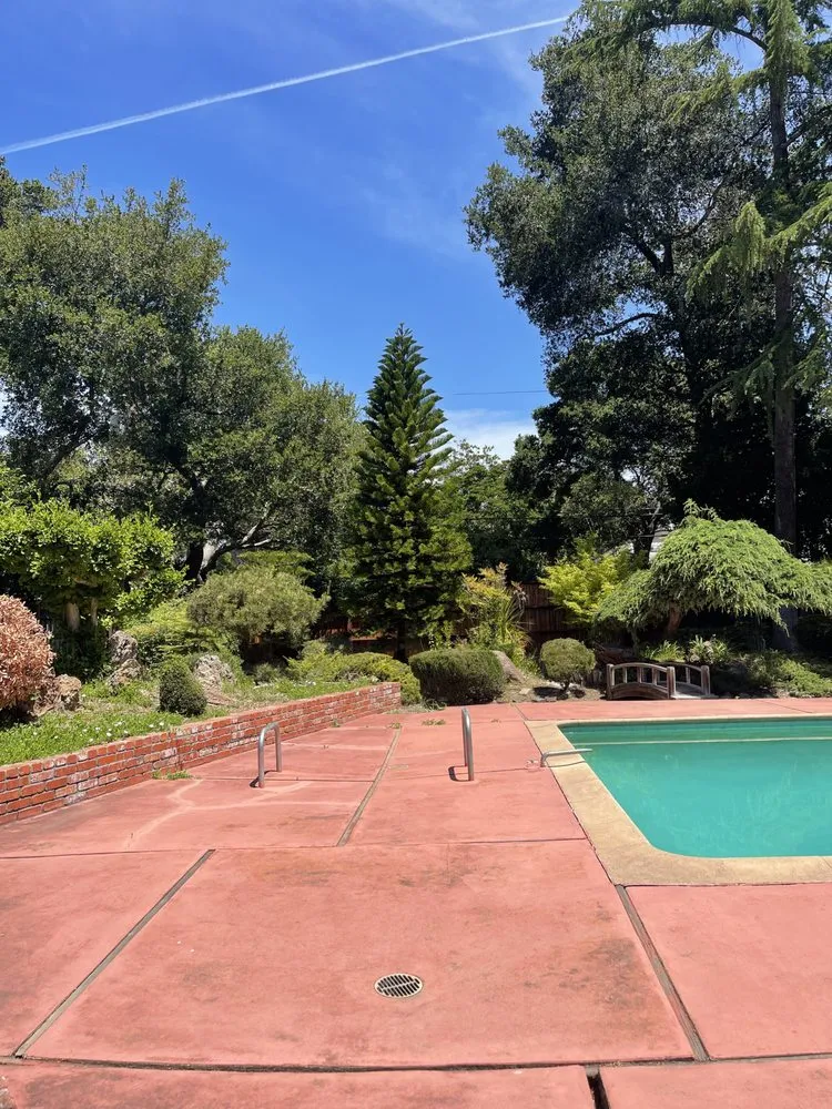 Top-rated yard maintenance for homes in East Palo Alto, CA by Junior‘s Garden Landscaping