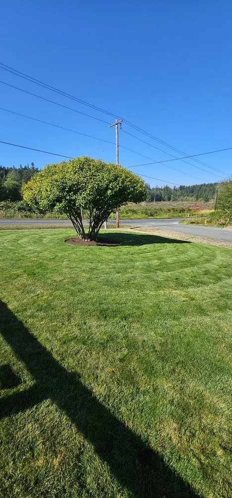 Top-rated lawn mowing service in Camano Island, WA by Junior's Gardens Landscape