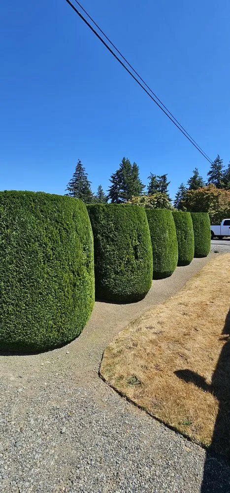 Local landscaping services in Camano Island, WA by Junior's Gardens Landscape