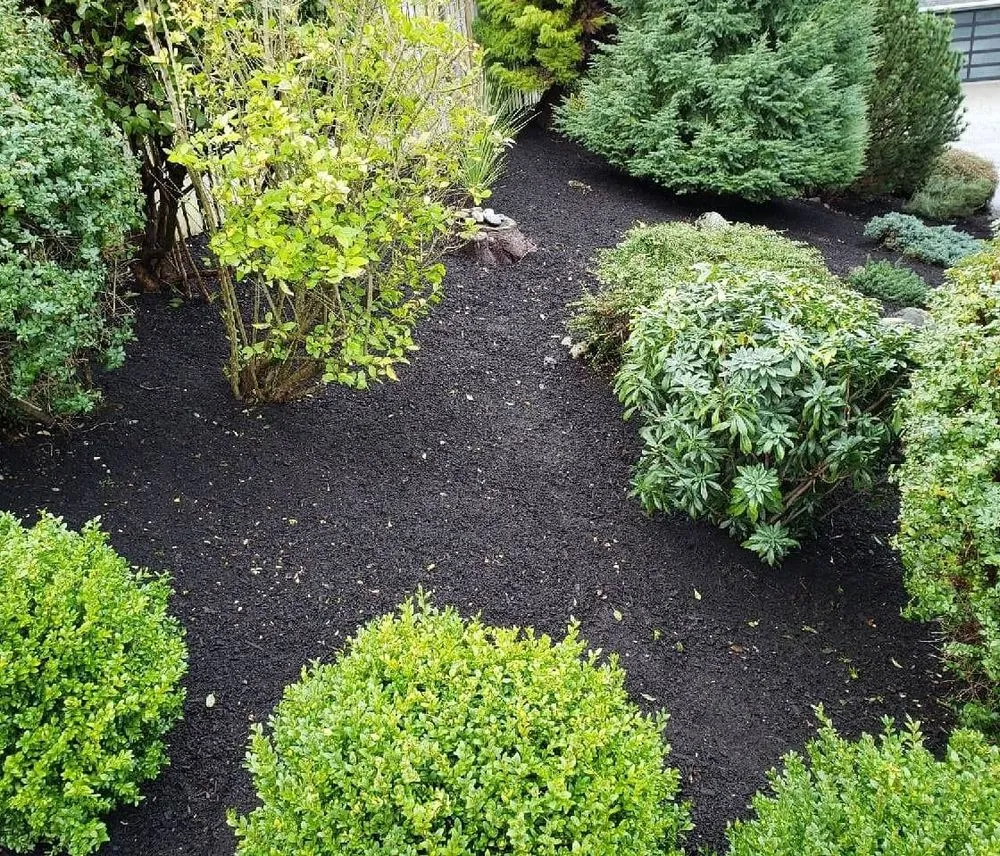 Reliable landscape installation experts serving Camano Island, WA - Junior's Gardens Landscape