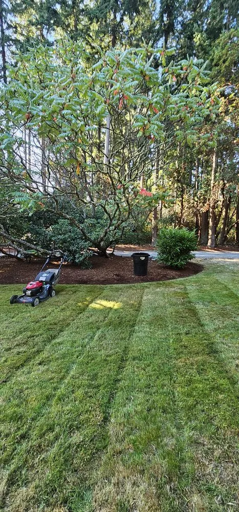 Reliable lawn care service experts serving Camano Island, WA - Junior's Gardens Landscape