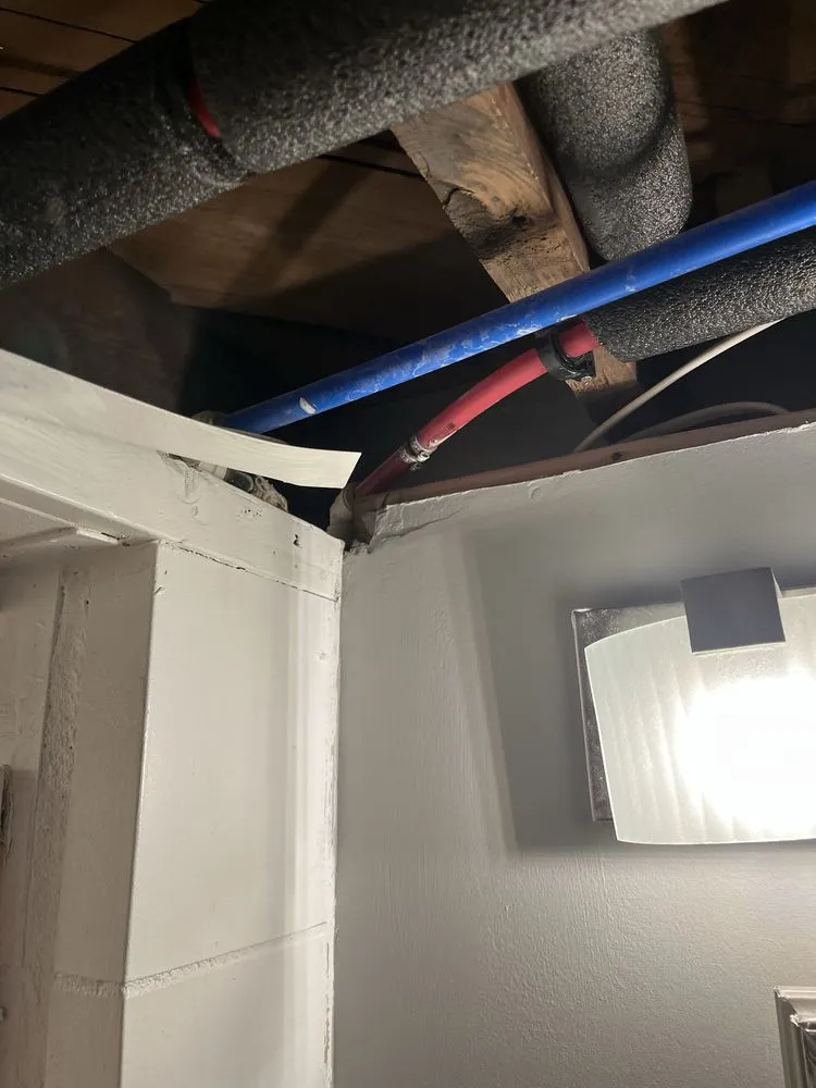 Expert residential landscaping experts serving Jackson, MI - Junior's Handyman Services