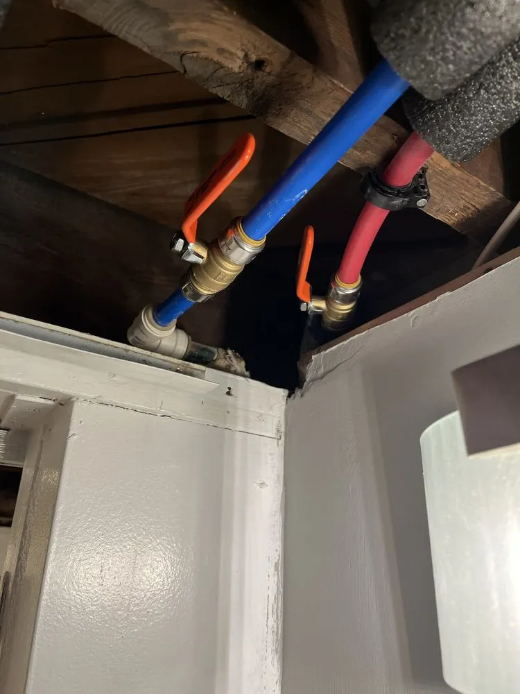 Affordable yard cleanup service with custom design in Jackson, MI by Junior's Handyman Services