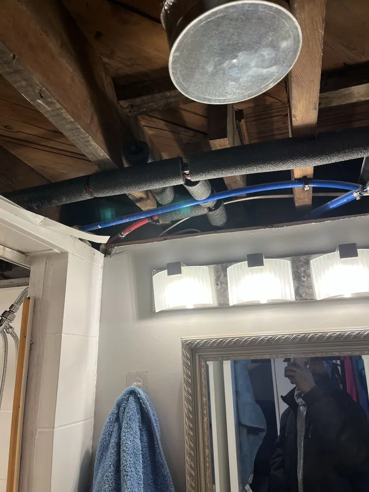 Professional garden landscaping in Jackson, MI by Junior's Handyman Services