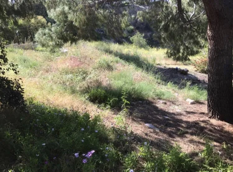 Top-rated garden landscaping experts serving Santa Clarita, CA - Junior's Landscape