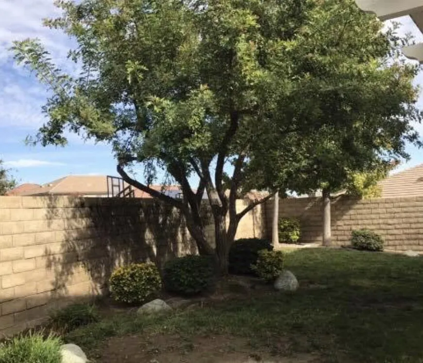 Expert landscaping services in Santa Clarita, CA by Junior's Landscape