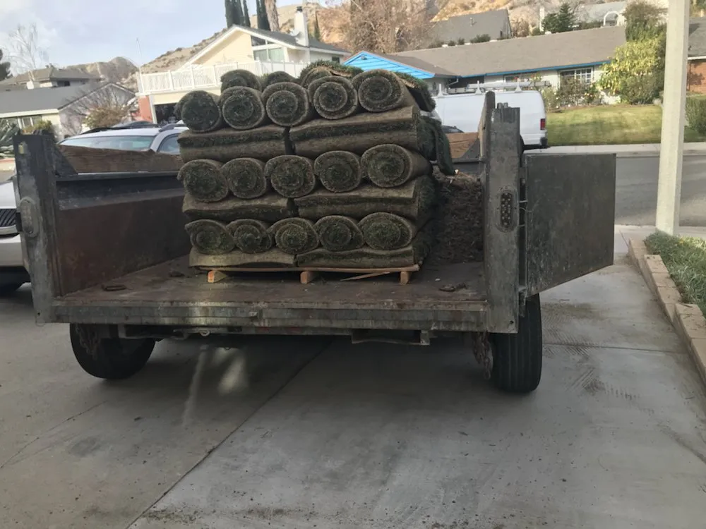 Affordable lawn care service in Santa Clarita, CA by Junior's Landscape