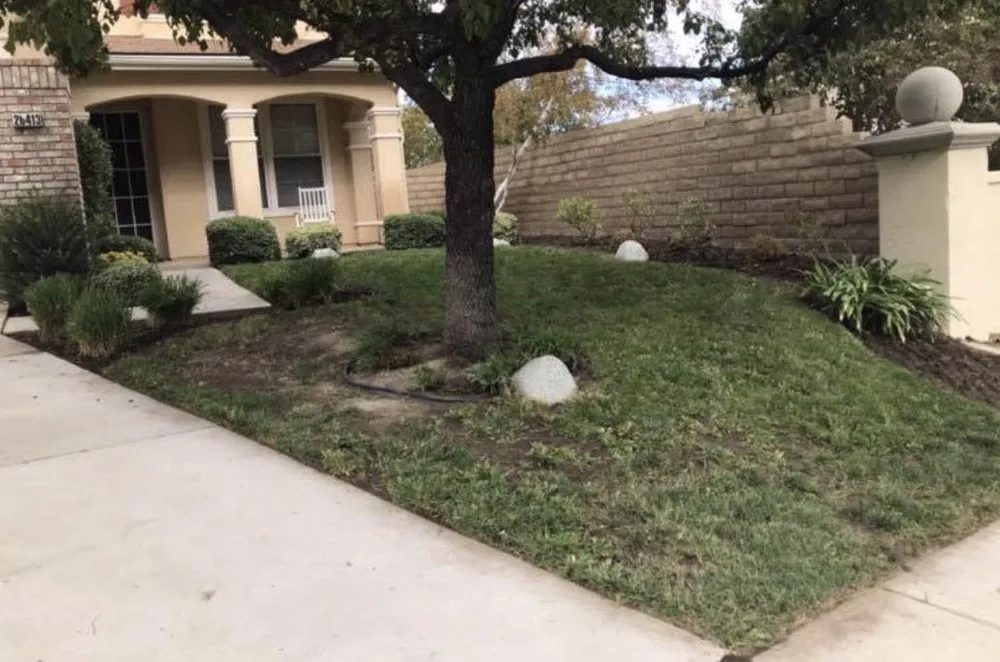 Affordable garden landscaping experts serving Santa Clarita, CA - Junior's Landscape