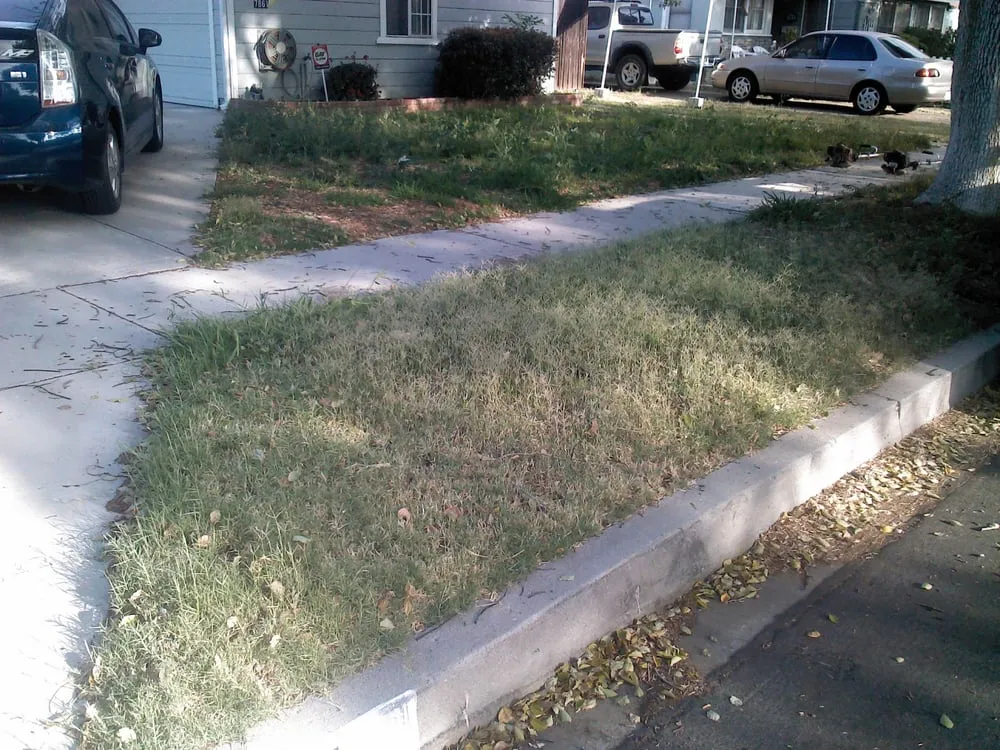 Custom lawn mowing service in Santa Clarita, CA by Junior's Landscape
