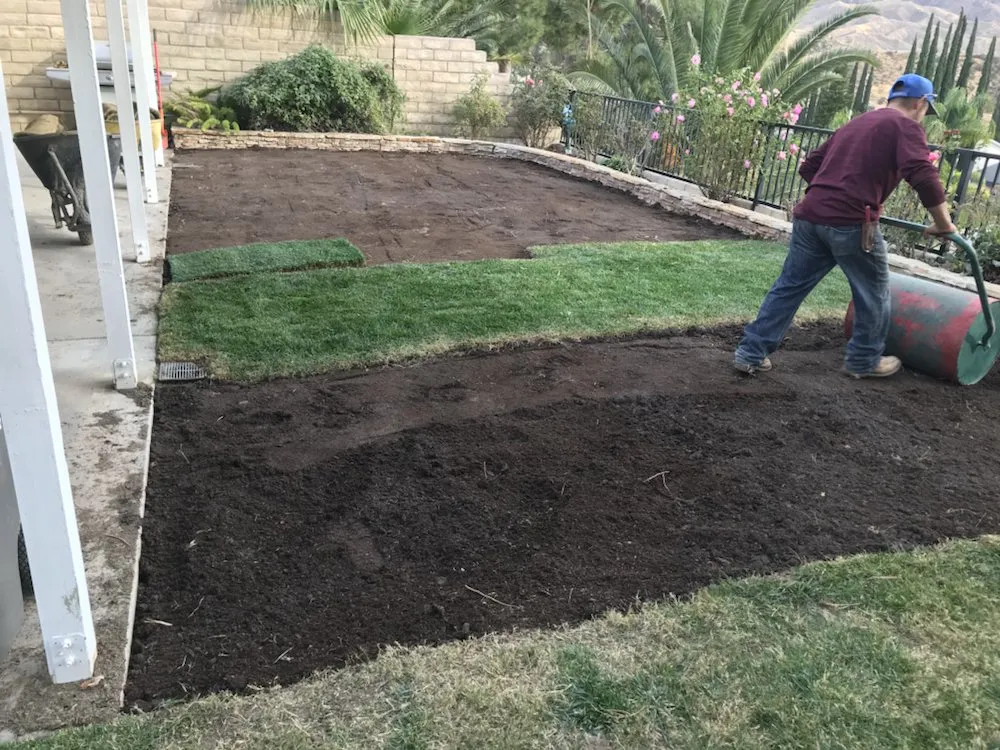 Professional garden landscaping for year-round maintenance in Santa Clarita, CA by Junior's Landscape