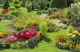 Reliable yard cleanup service experts serving Santa Clarita, CA - Junior's Landscape