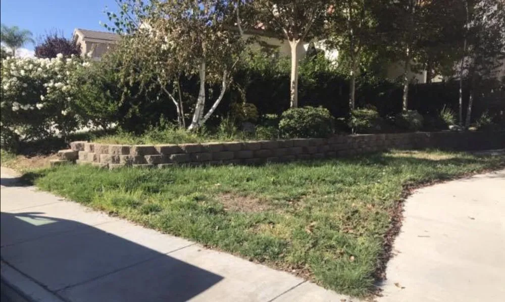 Local landscape installation for outdoor upgrades in Santa Clarita, CA by Junior's Landscape