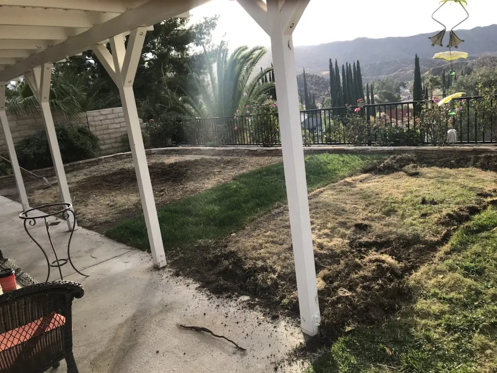 Professional landscaping services experts serving Santa Clarita, CA - Junior's Landscape