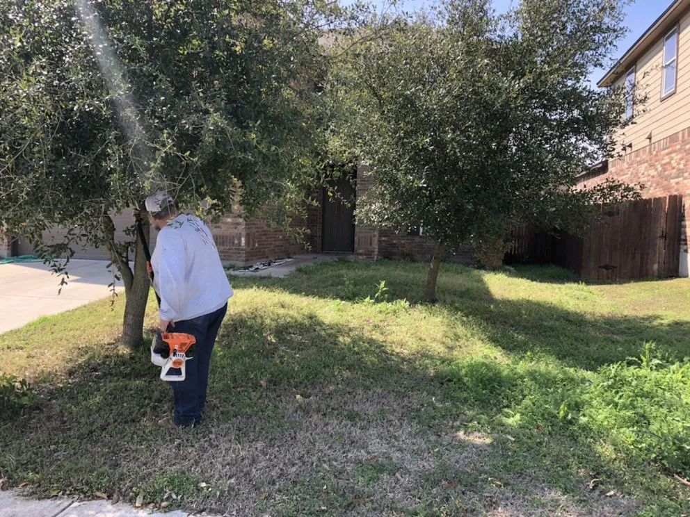 Trusted landscape installation in Georgetown, TX - Junior's Landscaping & Lawn Care