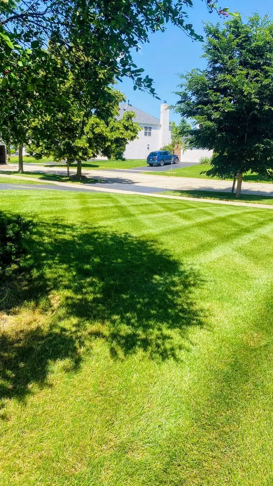 Professional residential landscaping experts serving Aurora, IL - Juniors landscaping