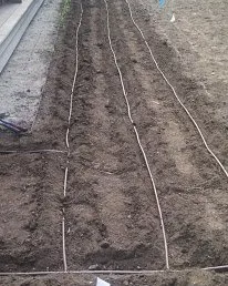 Trusted outdoor landscaping in Boston, MA by Juniors Landscaping