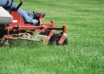 Juniors Landscaping Logo