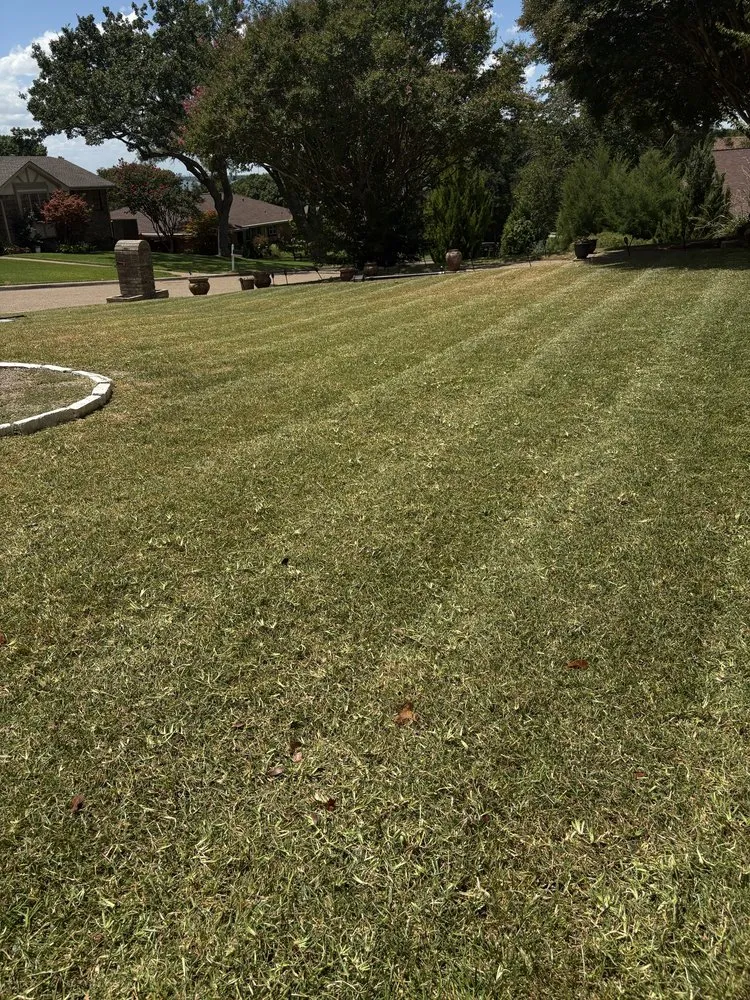 Local residential landscaping with custom design in Garland, TX by Juniors Landscaping