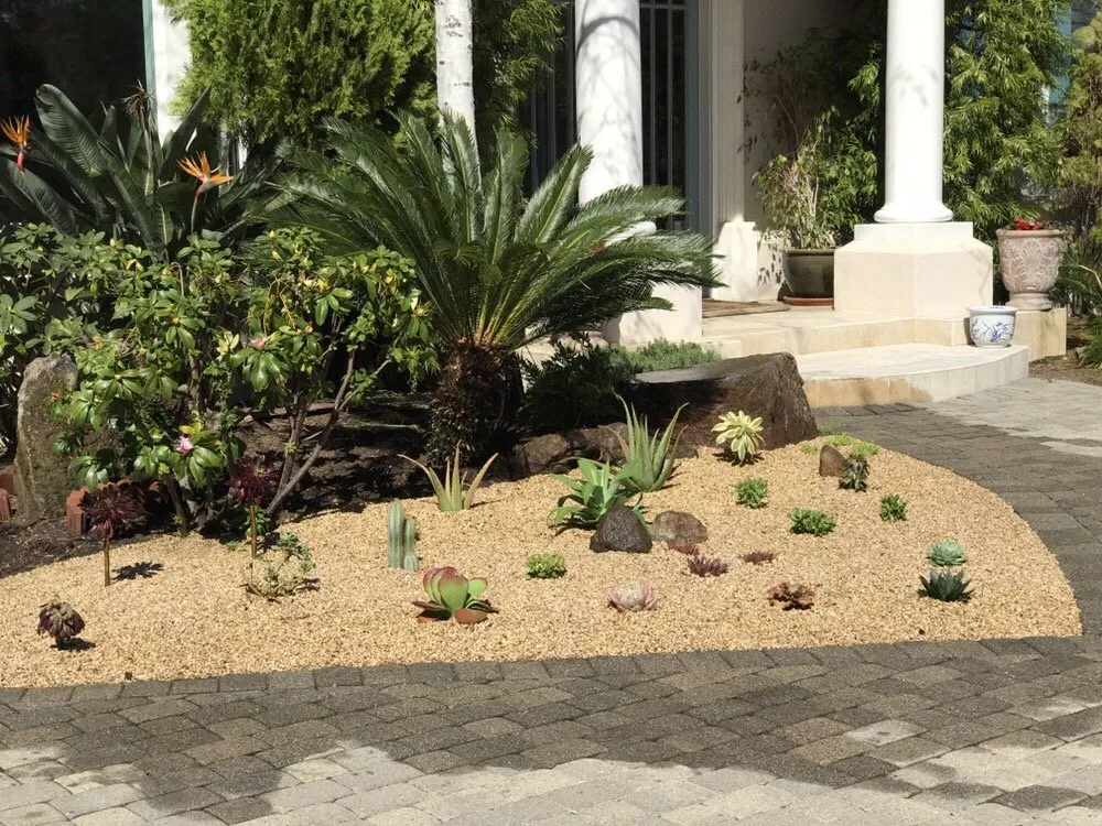 Reliable yard maintenance for homes across Palo Alto, CA - Junior's Landscaping