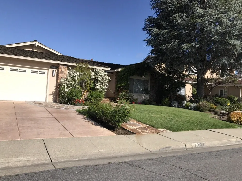 Reliable yard maintenance in Palo Alto, CA - Junior's Landscaping