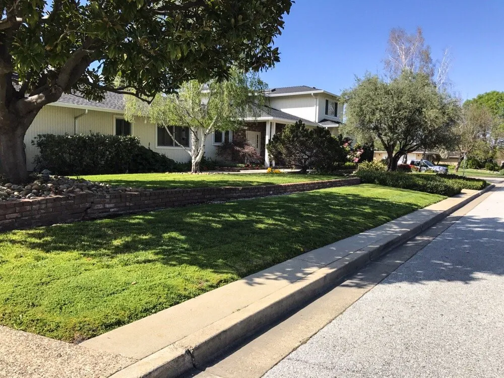 Professional lawn mowing service near you across Palo Alto, CA - Junior's Landscaping