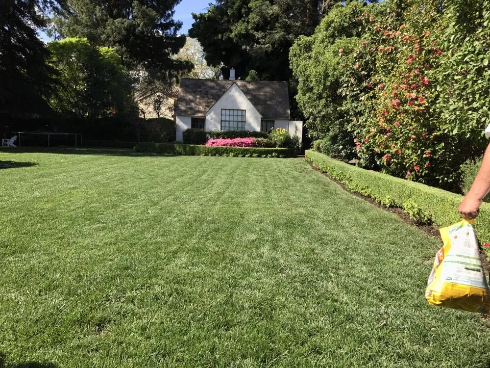 Top-rated landscaping services for year-round maintenance in Palo Alto, CA by Junior's Landscaping