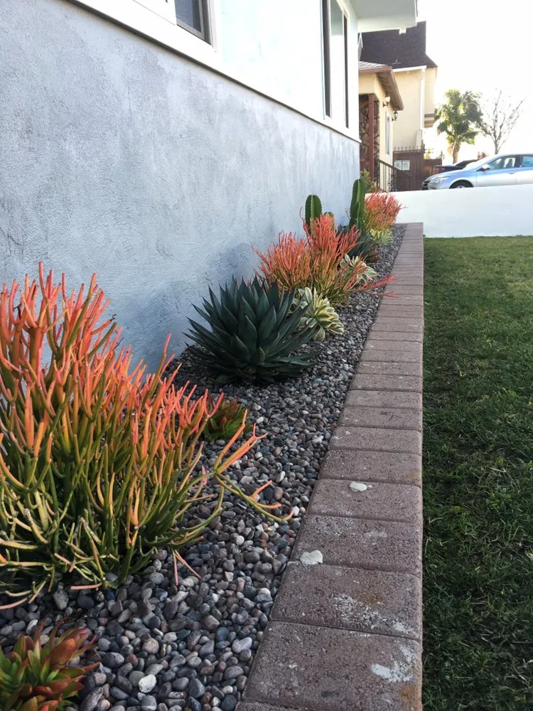 Top-rated landscape design in San Diego, CA by Junior's Landscaping