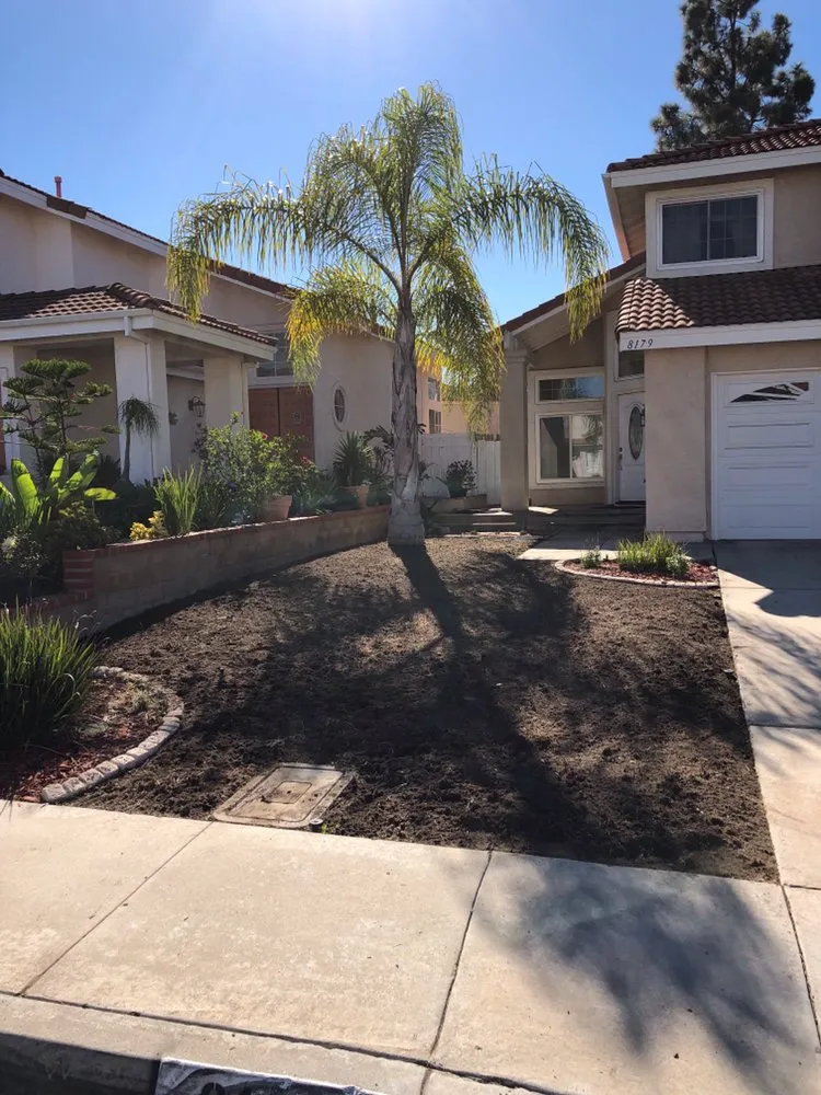 Affordable yard maintenance for year-round maintenance across San Diego, CA - Junior's Landscaping