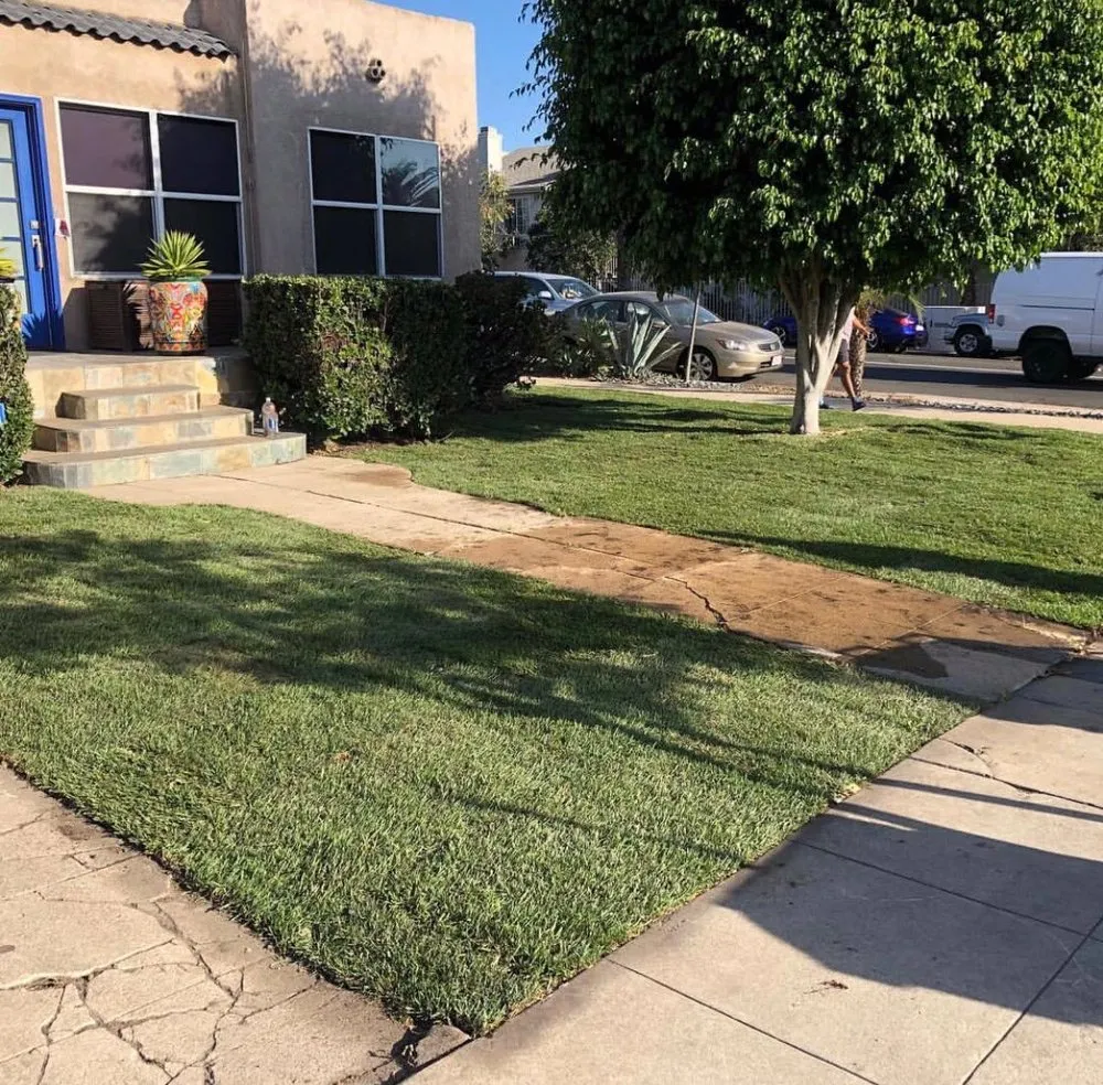 Expert landscape installation for beautiful yards in San Diego, CA by Junior's Landscaping