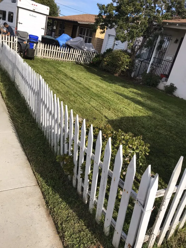 Trusted garden landscaping in San Diego, CA - Junior's Landscaping