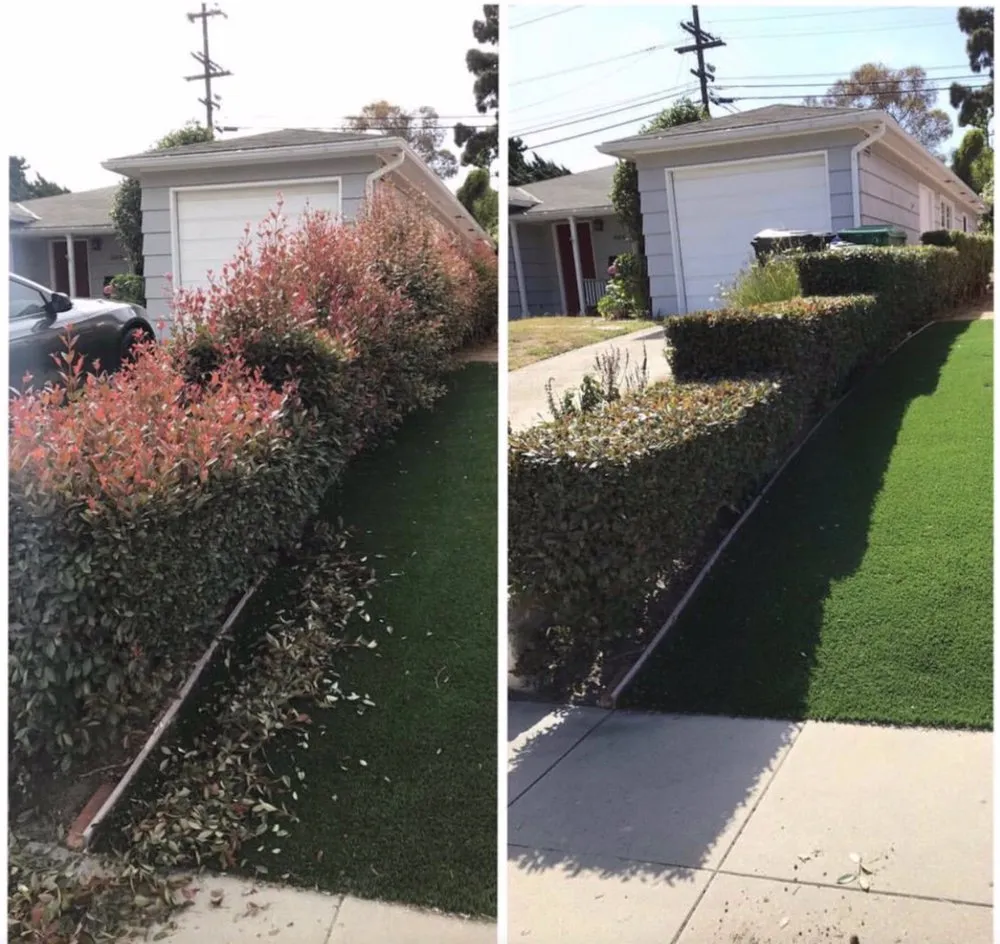 Custom garden landscaping for beautiful yards across San Diego, CA - Junior's Landscaping