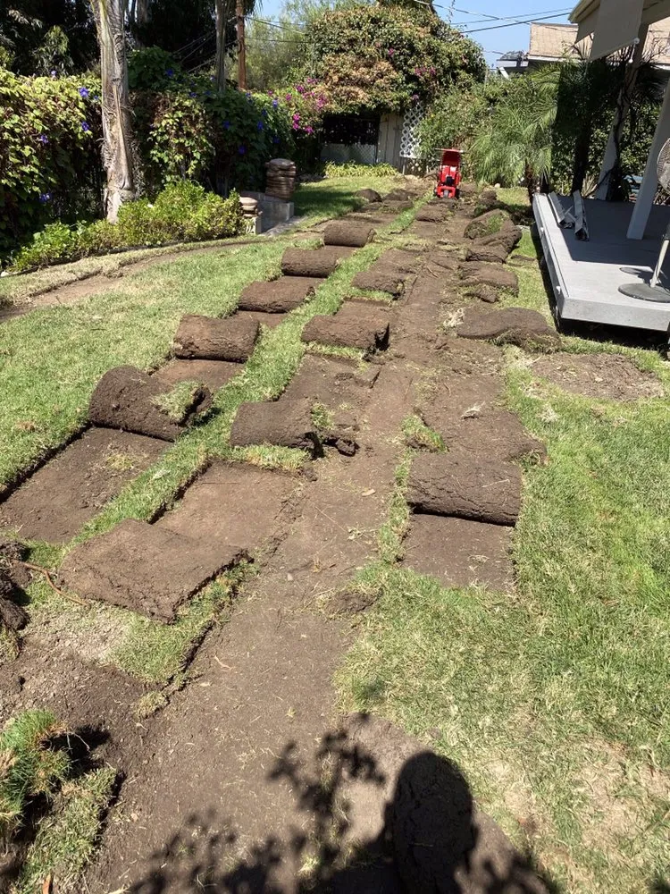 Local yard maintenance near you in San Diego, CA by Junior's Landscaping