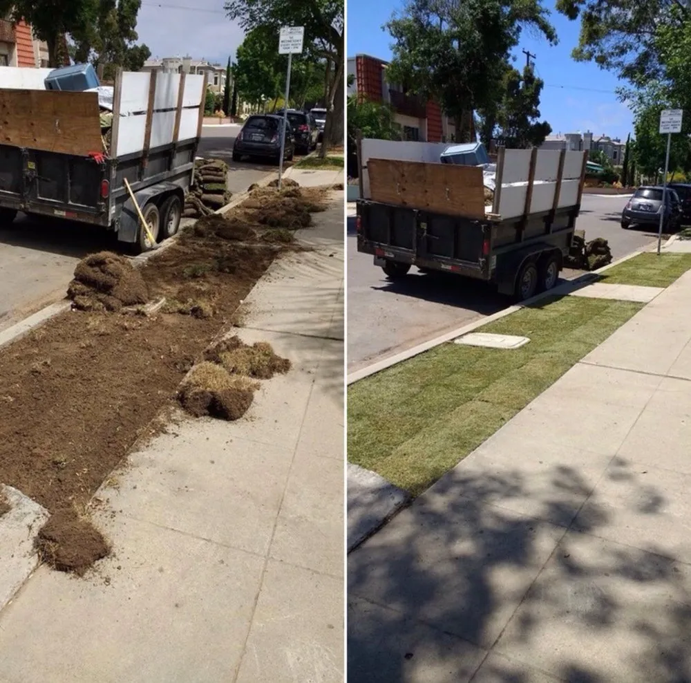 Reliable yard cleanup service near you across San Diego, CA - Junior's Landscaping