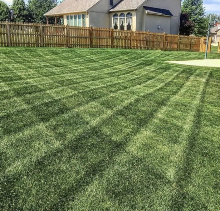 Reliable landscape design for year-round maintenance in San Diego, CA by Junior's Landscaping