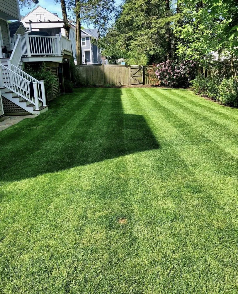 Professional landscape installation experts serving San Diego, CA - Junior's Landscaping