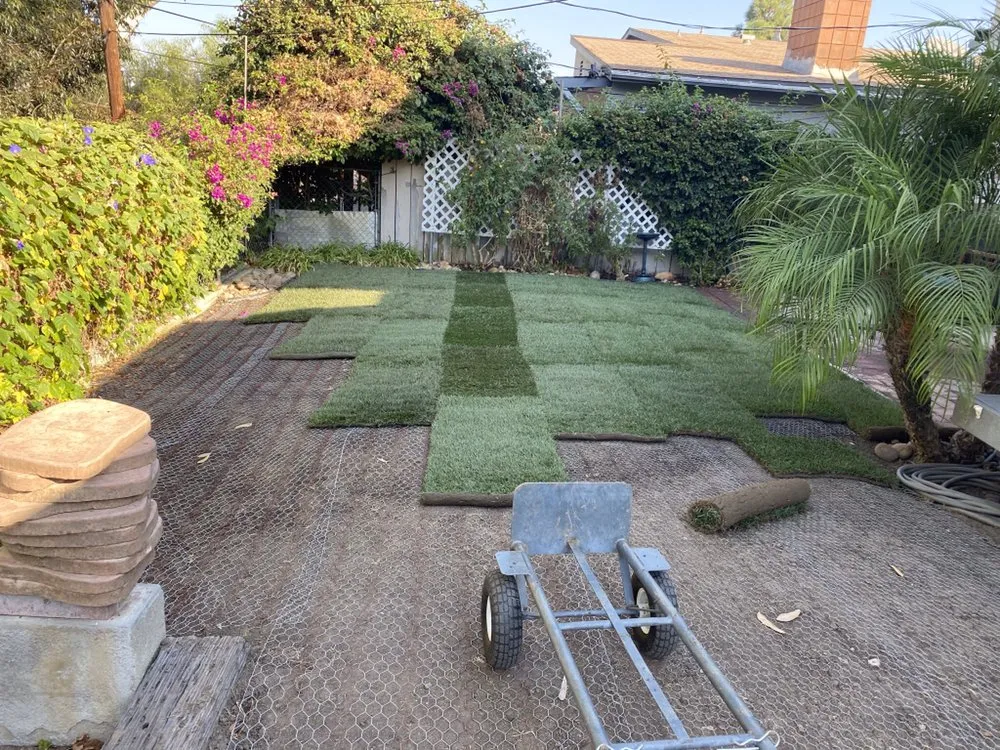 Professional residential landscaping in San Diego, CA - Junior's Landscaping