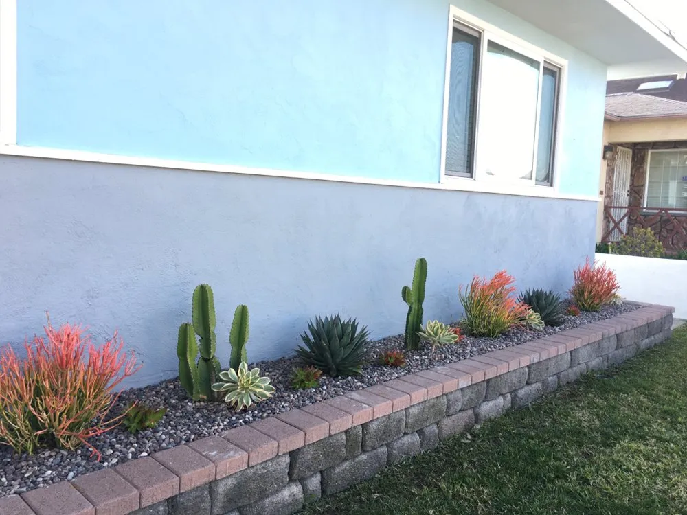 Affordable landscape installation in San Diego, CA by Junior's Landscaping