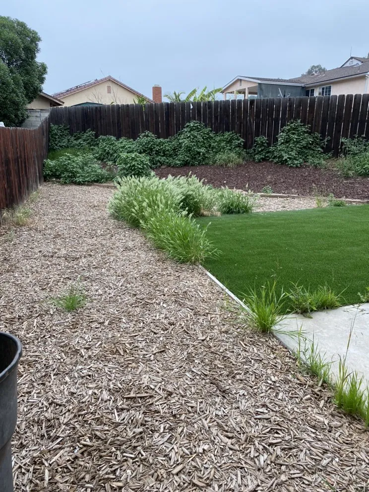 Custom lawn care service experts serving San Diego, CA - Junior's Landscaping