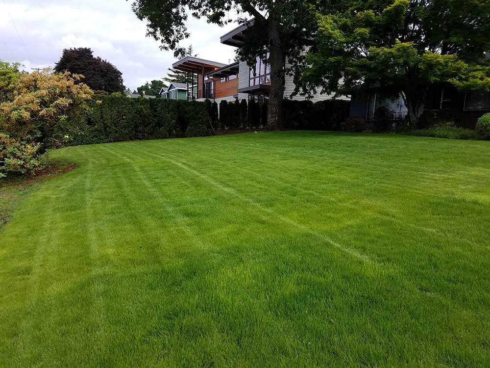 Custom garden landscaping in Vancouver, WA - Juniors Landscaping