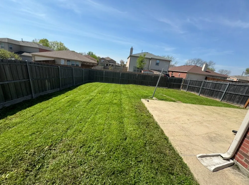 Professional lawn care service for beautiful yards across Mesquite, TX - Juniors Lawn Care