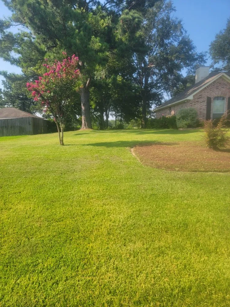 Expert landscaping services in Tyler, TX by Junior's Lawn Mowing