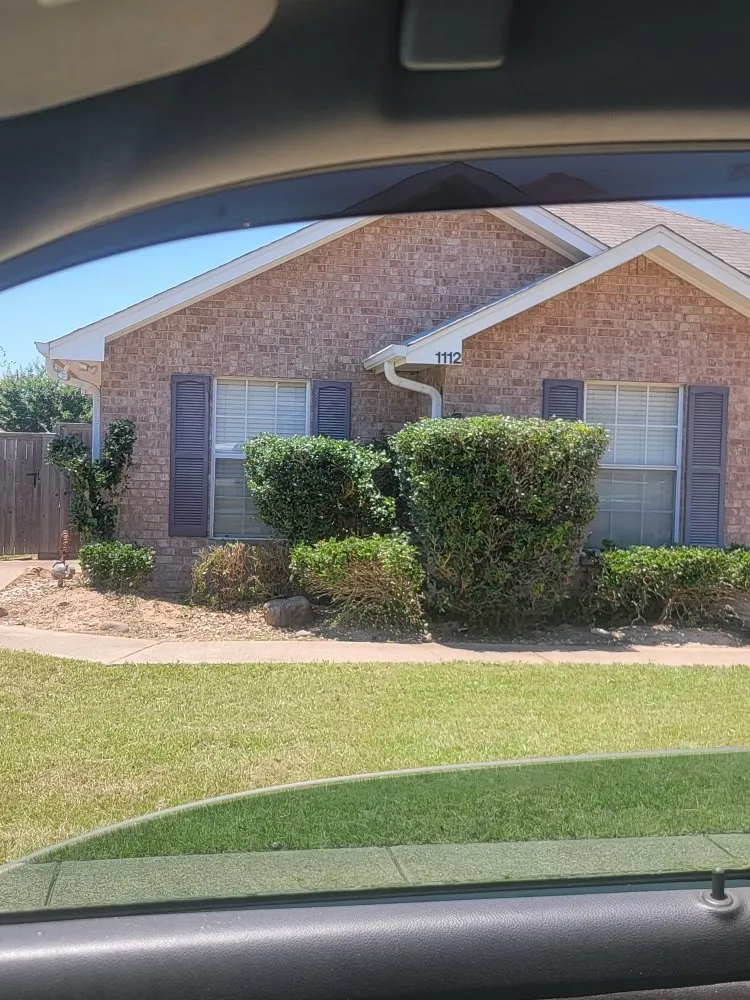 Expert lawn care service experts serving Tyler, TX - Junior's Lawn Mowing