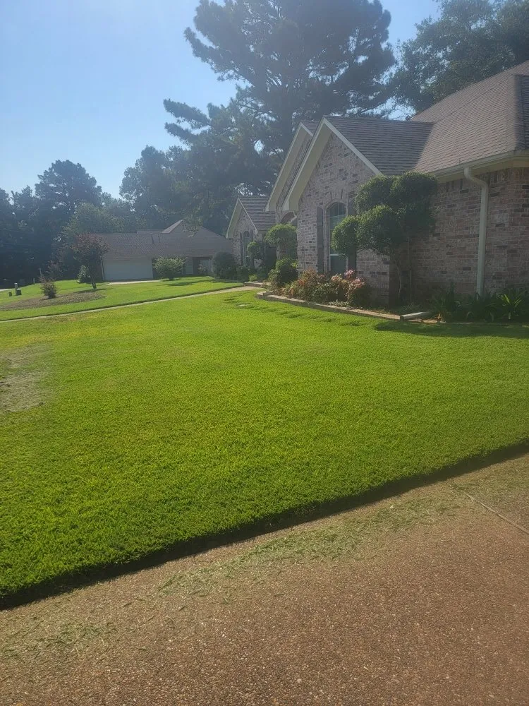 Top-rated lawn care service experts serving Tyler, TX - Junior's Lawn Mowing