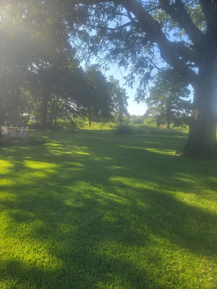 Top-rated landscape design for outdoor upgrades in Tyler, TX by Junior's Lawn Mowing