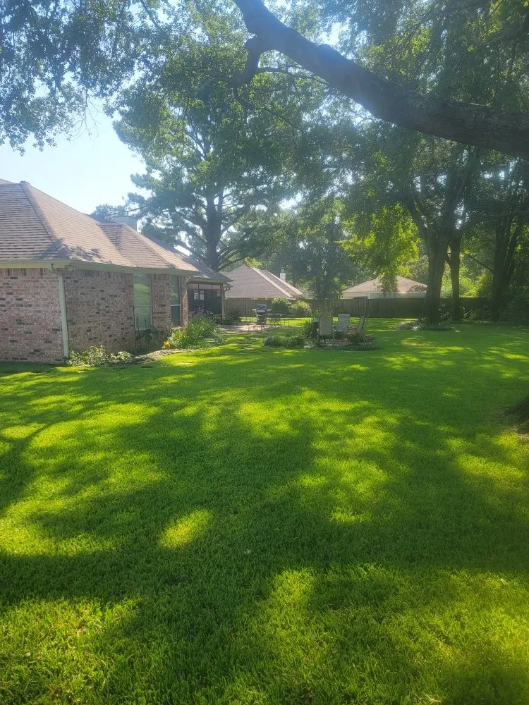 Top-rated lawn mowing service in Tyler, TX - Junior's Lawn Mowing