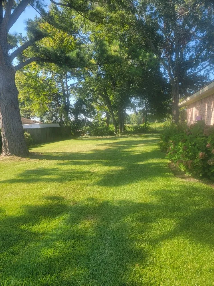 Reliable landscaping services experts serving Tyler, TX - Junior's Lawn Mowing