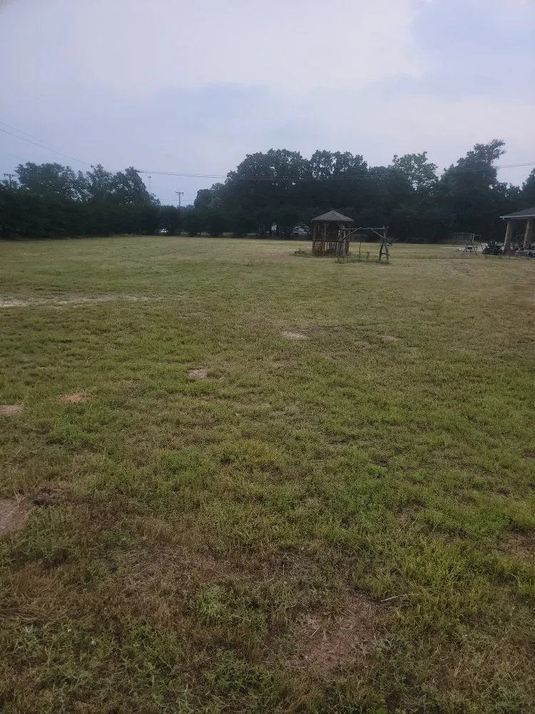 Trusted lawn care service experts serving Tyler, TX - Junior's Lawn Mowing