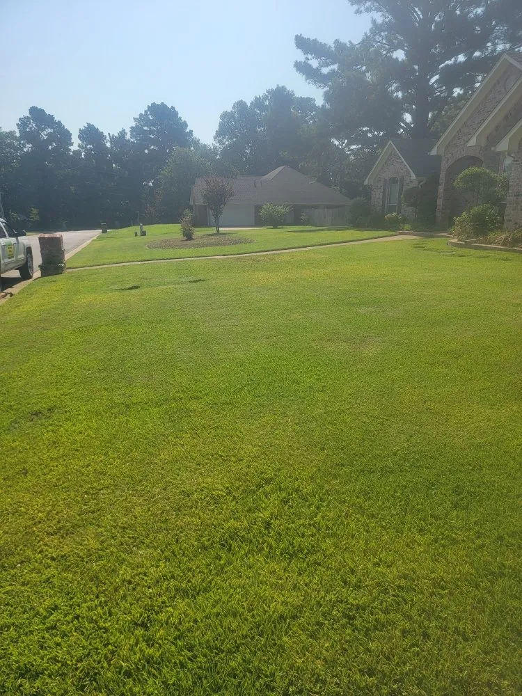 Expert yard cleanup service in Tyler, TX - Junior's Lawn Mowing